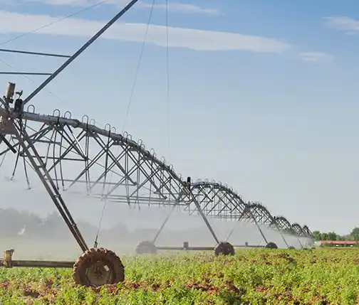 Борбордук айланма системасы