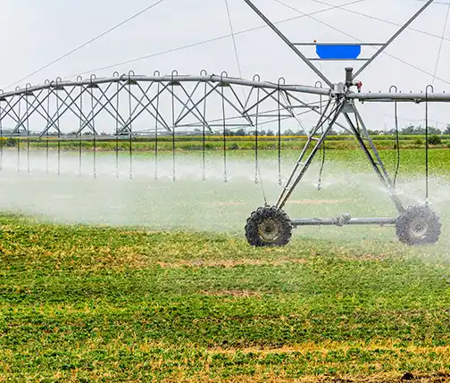 Сызыктуу системалар