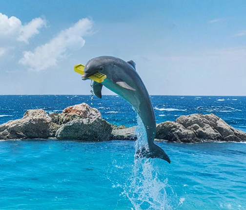 Суунун энергиясы