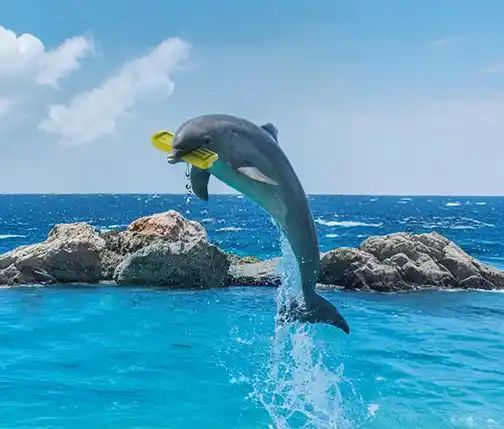 Суунун энергиясы