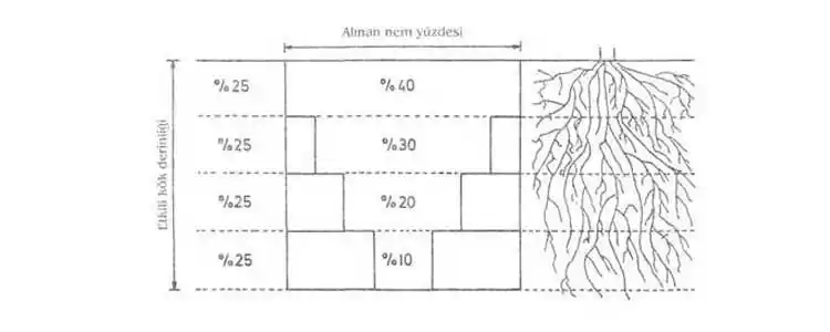 Күнкайнар Өндүрүшү