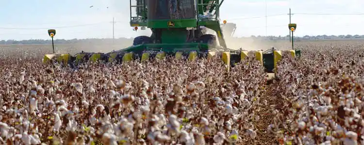 Пахта өндүрүшү