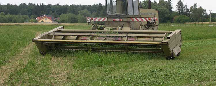 Йонжа Өндүрүшү