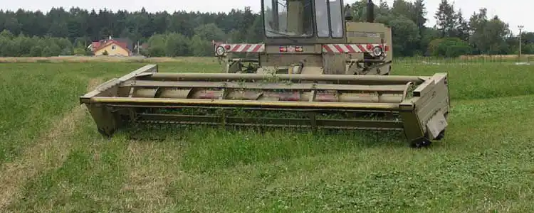 Йонжа Өндүрүшү