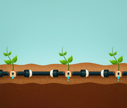 Жер астындагы тамчылатып сугаруу