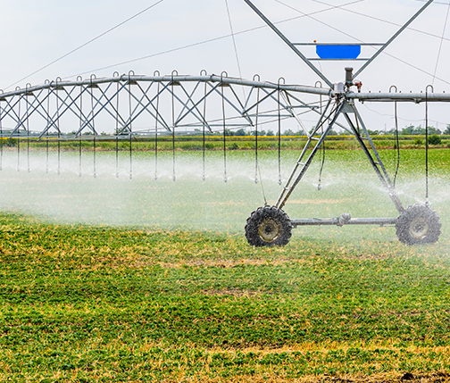 Сызыктуу системалар