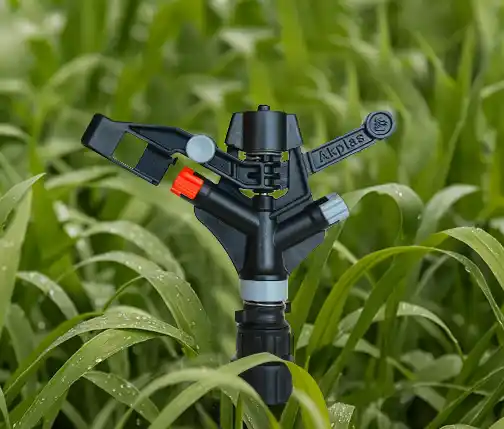 СУГАРУУ СИСТЕМАСЫ